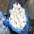 20 Kg Loose Mesh Bag Package Fresh Pure White Garlic in China